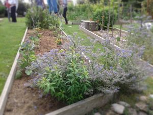 cours-permaculture-toulouse